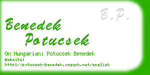 benedek potucsek business card